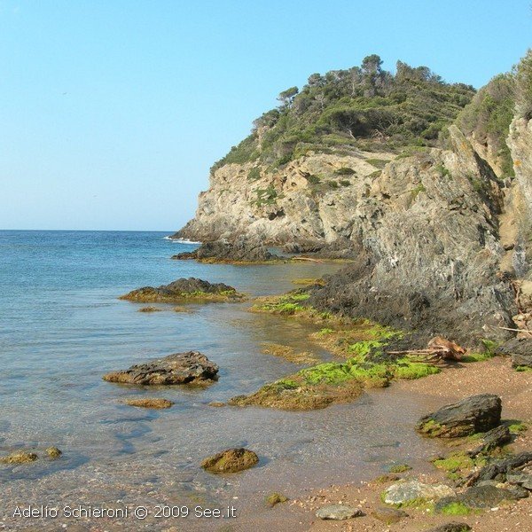 porquerolles4.jpg