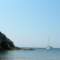 porquerolles9_small.jpg