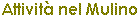 attivita.gif (393 bytes)