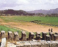 stadio