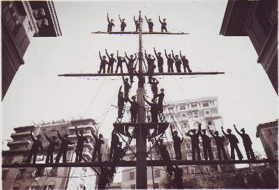 Albero nel cortile - Istituto Nautico San Giorgio di Genova