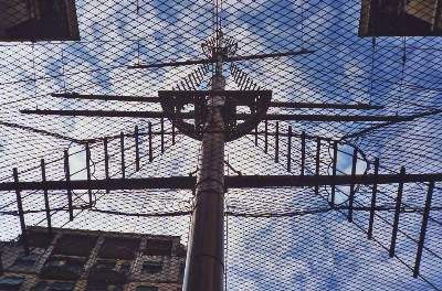 Albero nel cortile - Istituto Nautico San Giorgio di Genova