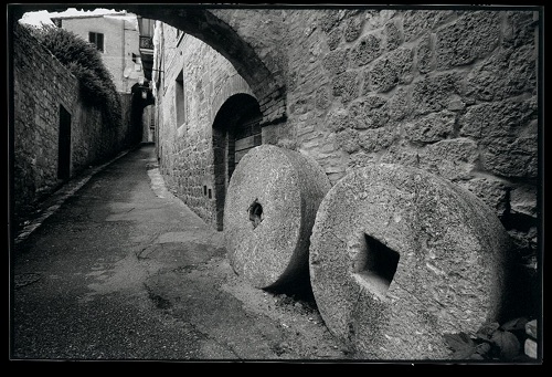 [foto di Paolo Franceschini]