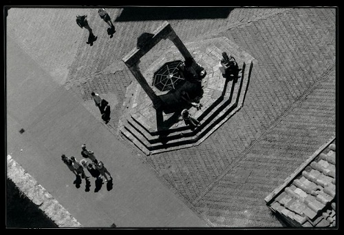 [foto di Paolo Franceschini]
